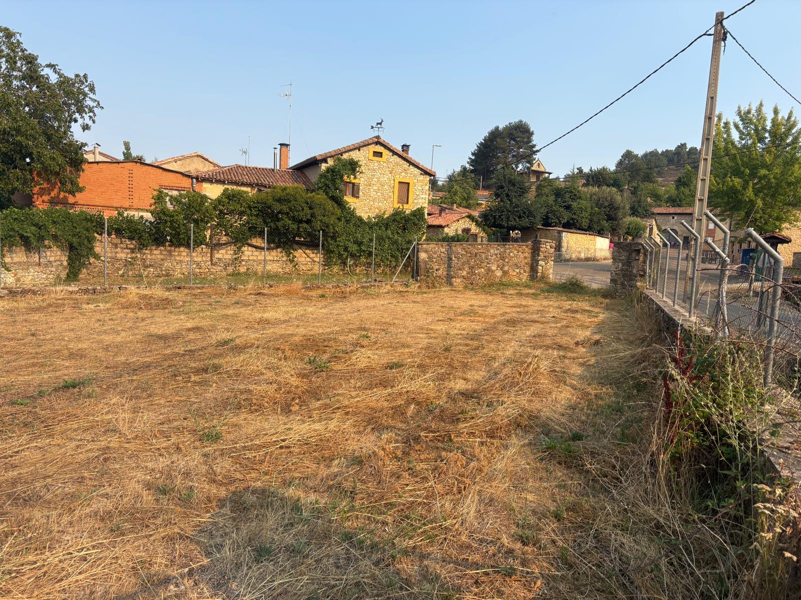 2026.0731.BARRI.877.SO (1)