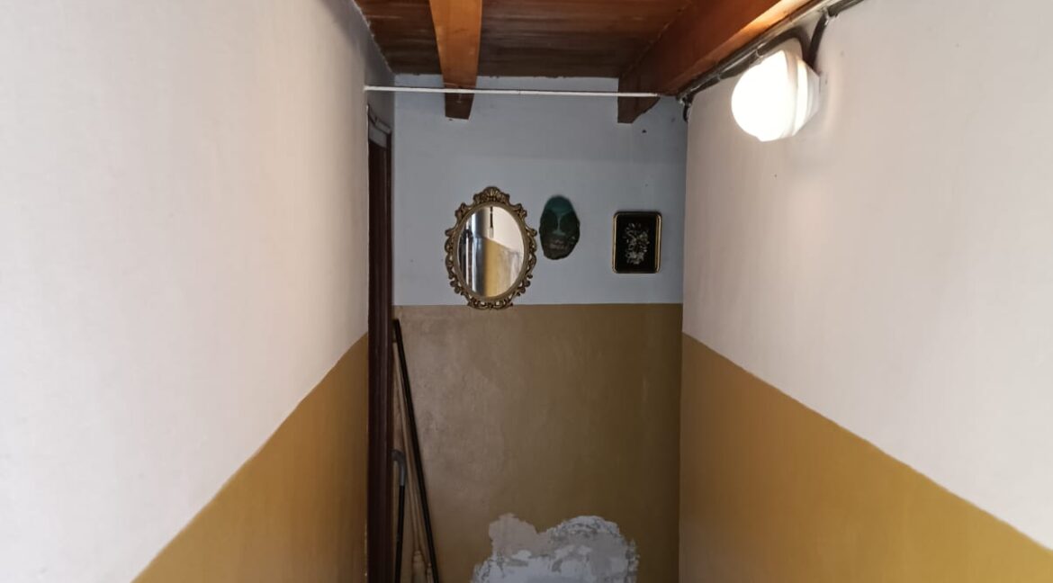 2026.0824.ONZ.231.CA (15)