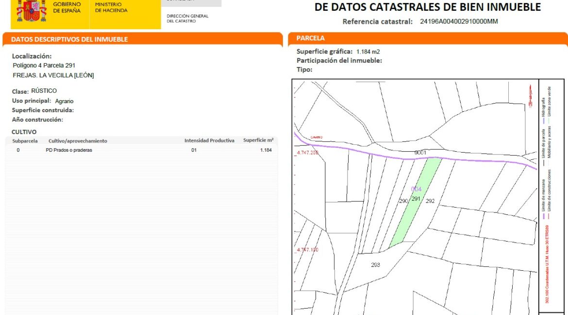 2026.0911.CAMPO.849.CA (3)