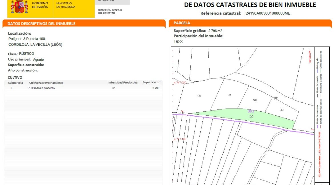 2026.0911.CAMPO.849.CA (5)